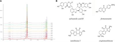 Tongguan Capsule Mitigates Post-myocardial Infarction Remodeling by Promoting Autophagy and Inhibiting Apoptosis: Role of Sirt1